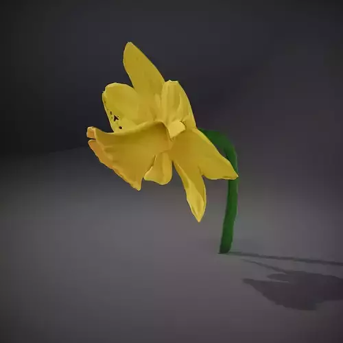 Bright Yellow Daffodil model pack