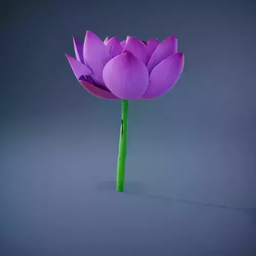 Vibrant Lotus Flower model pack