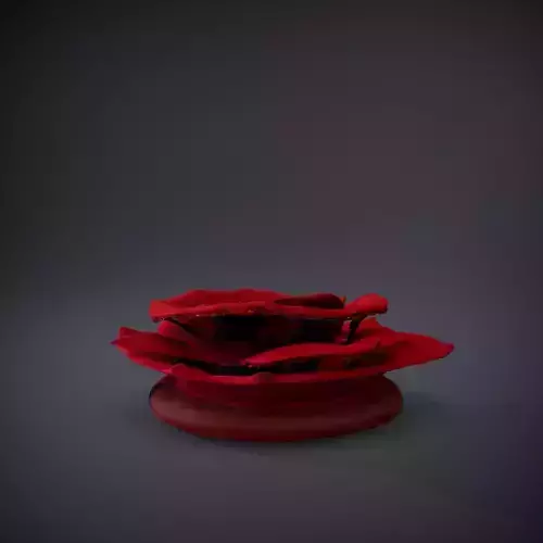 Crimson Rose Blossom model pack