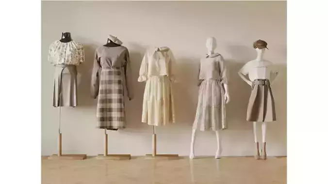 Womens clothing combination