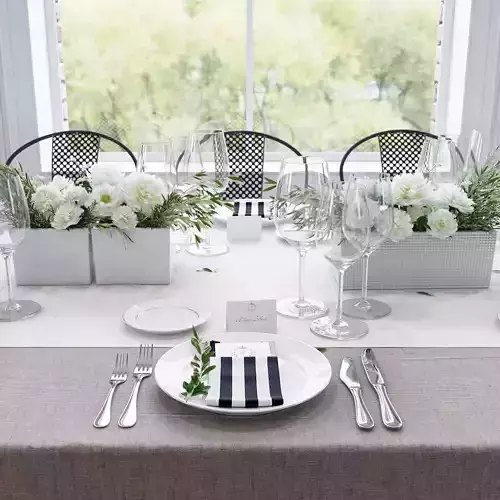 Banquet Table Setting 3D model