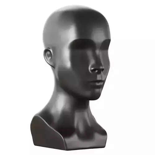 Male mannequin head