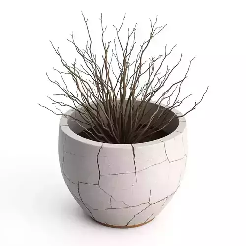 Dried Bush Plant in Cracked Pot