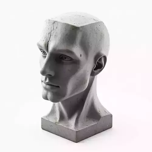 Cracked Artistic Male Head Bust
