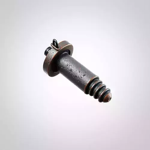 Stylized Rustic Aged Metal Screw