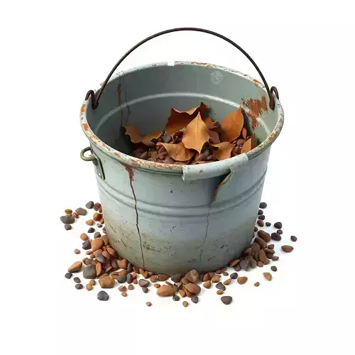 Old Rusty Bucket with Leaves Pebbles