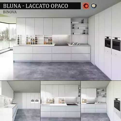 Kitchen Bluna Laccato Opaco 
