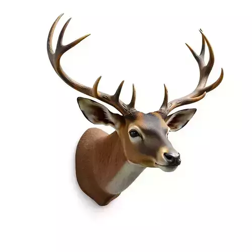 Realistic Deer Head Wall Mount