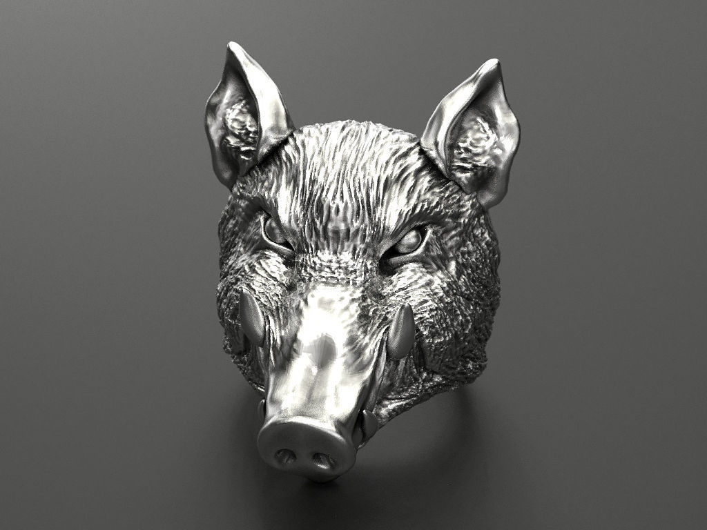 Boar ring  3D print model_1
