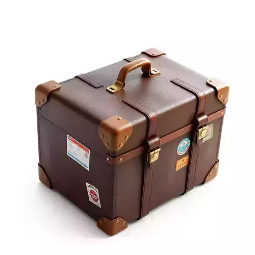 Vintage Brown Leather Travel Trunk