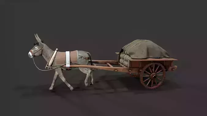 donkey Car