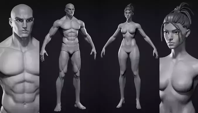 Stylized cartoon Caucasian average Realistic character