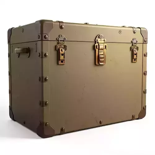 Vintage Military Storage Trunk