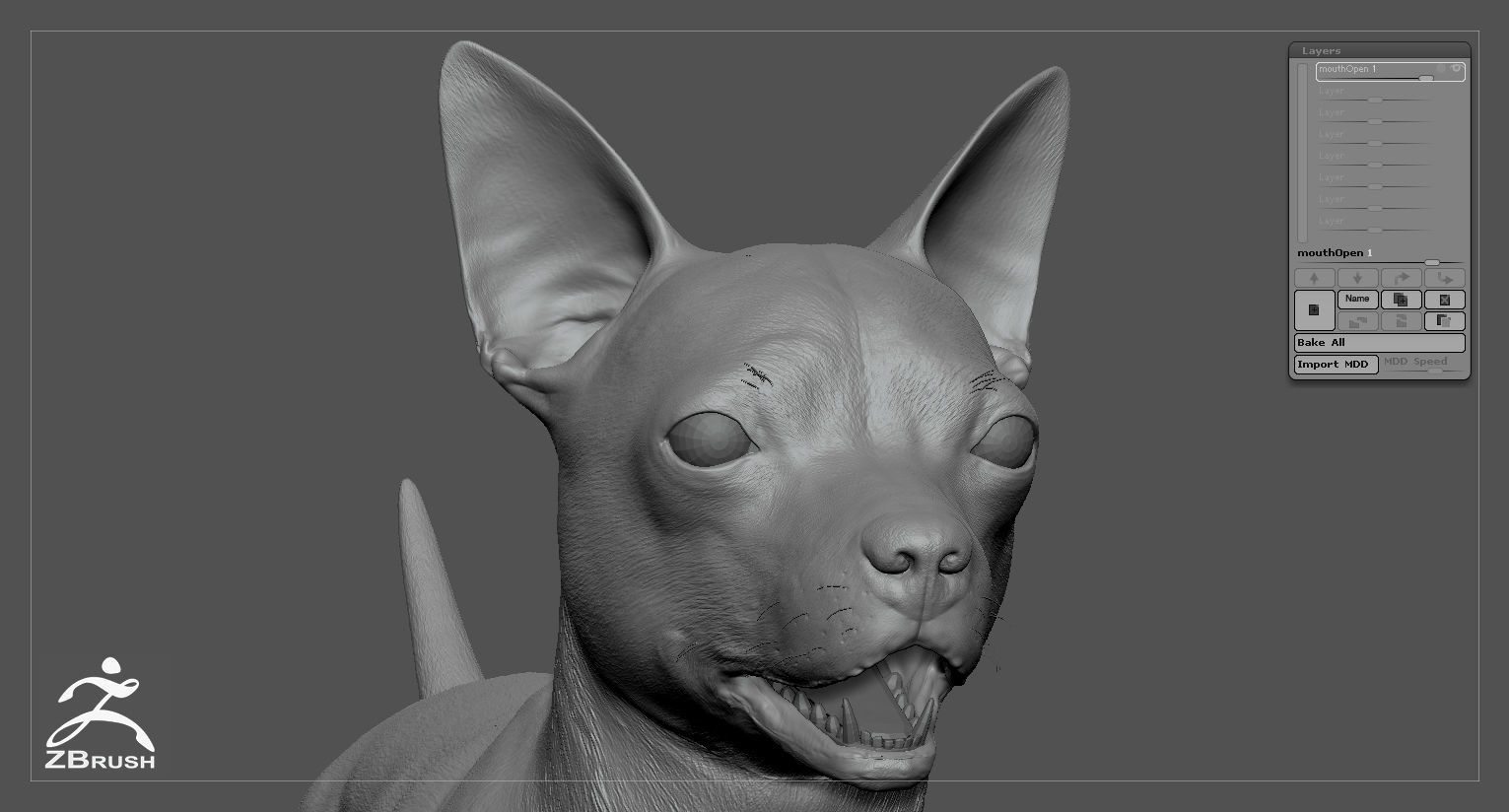 Chihuahua Real-Time Low-poly 3D model_47