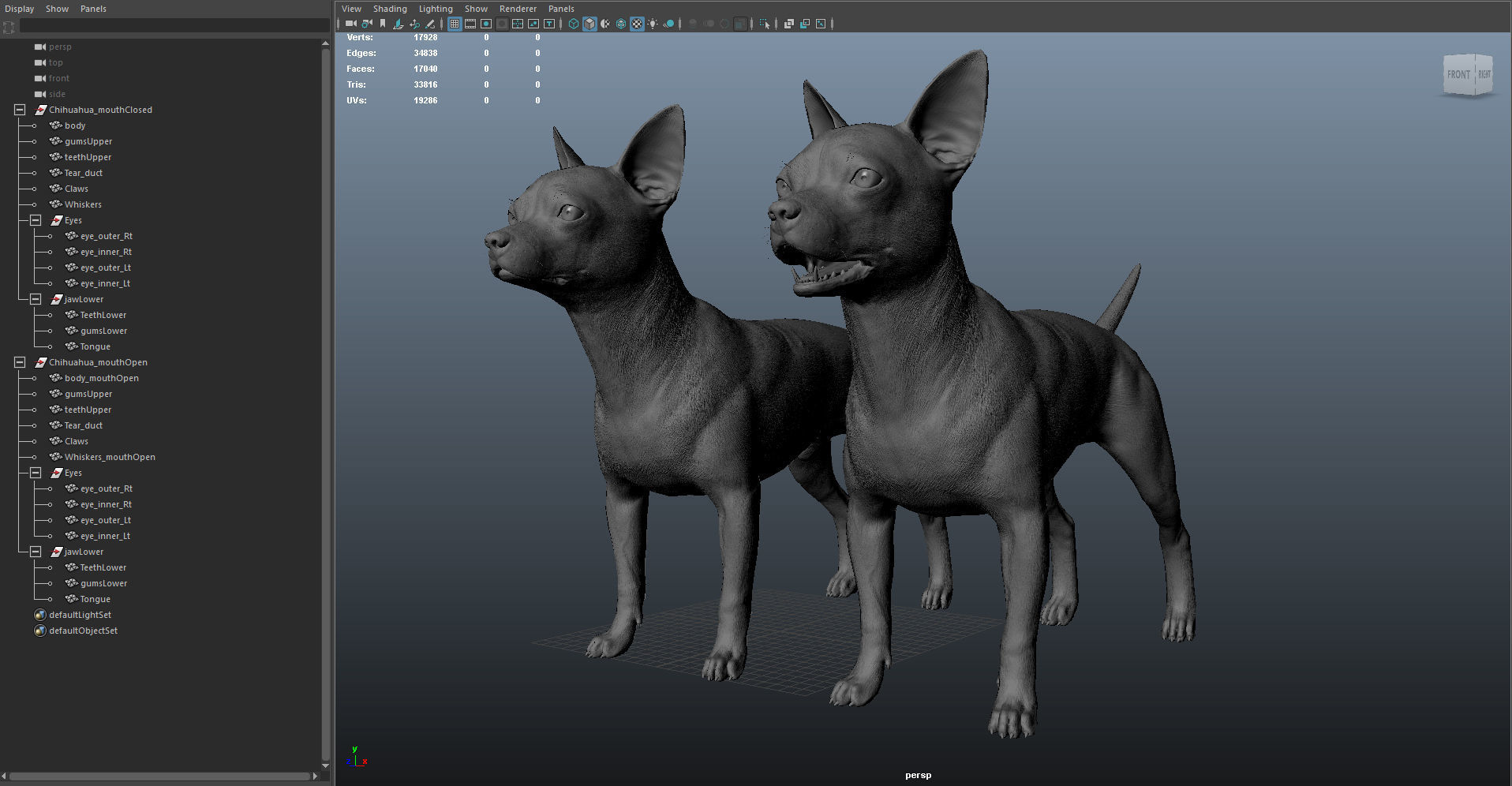 Chihuahua Real-Time Low-poly 3D model_48
