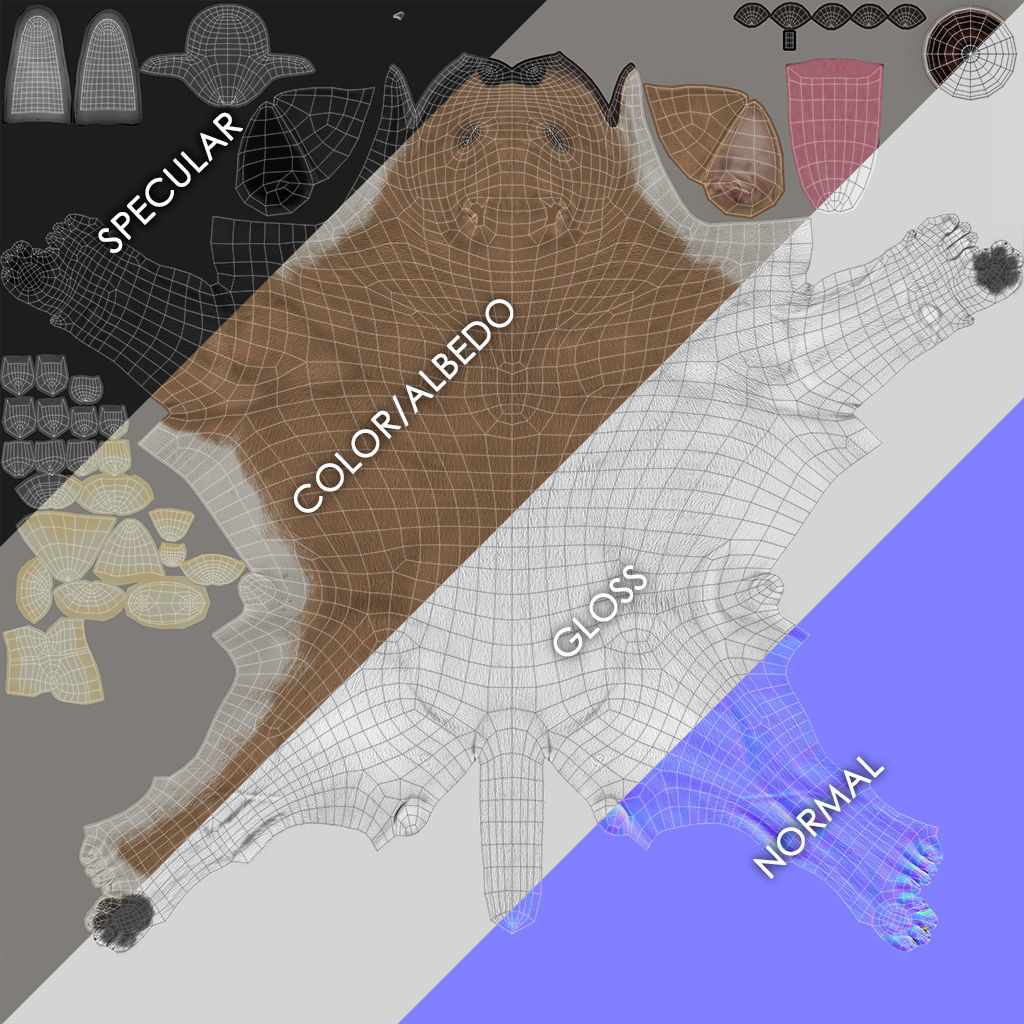 Chihuahua Real-Time Low-poly 3D model_50