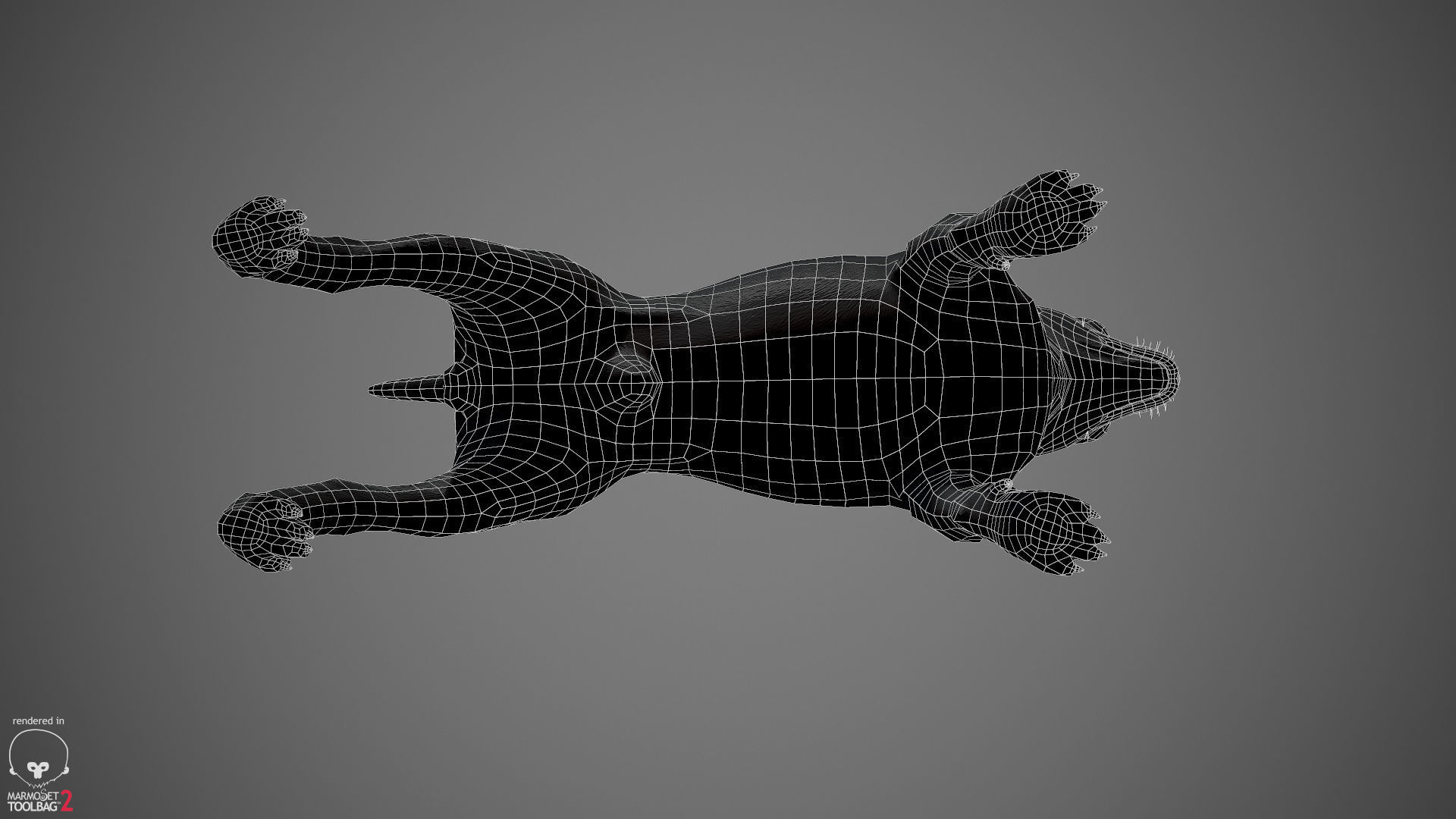 Chihuahua Real-Time Low-poly 3D model_40