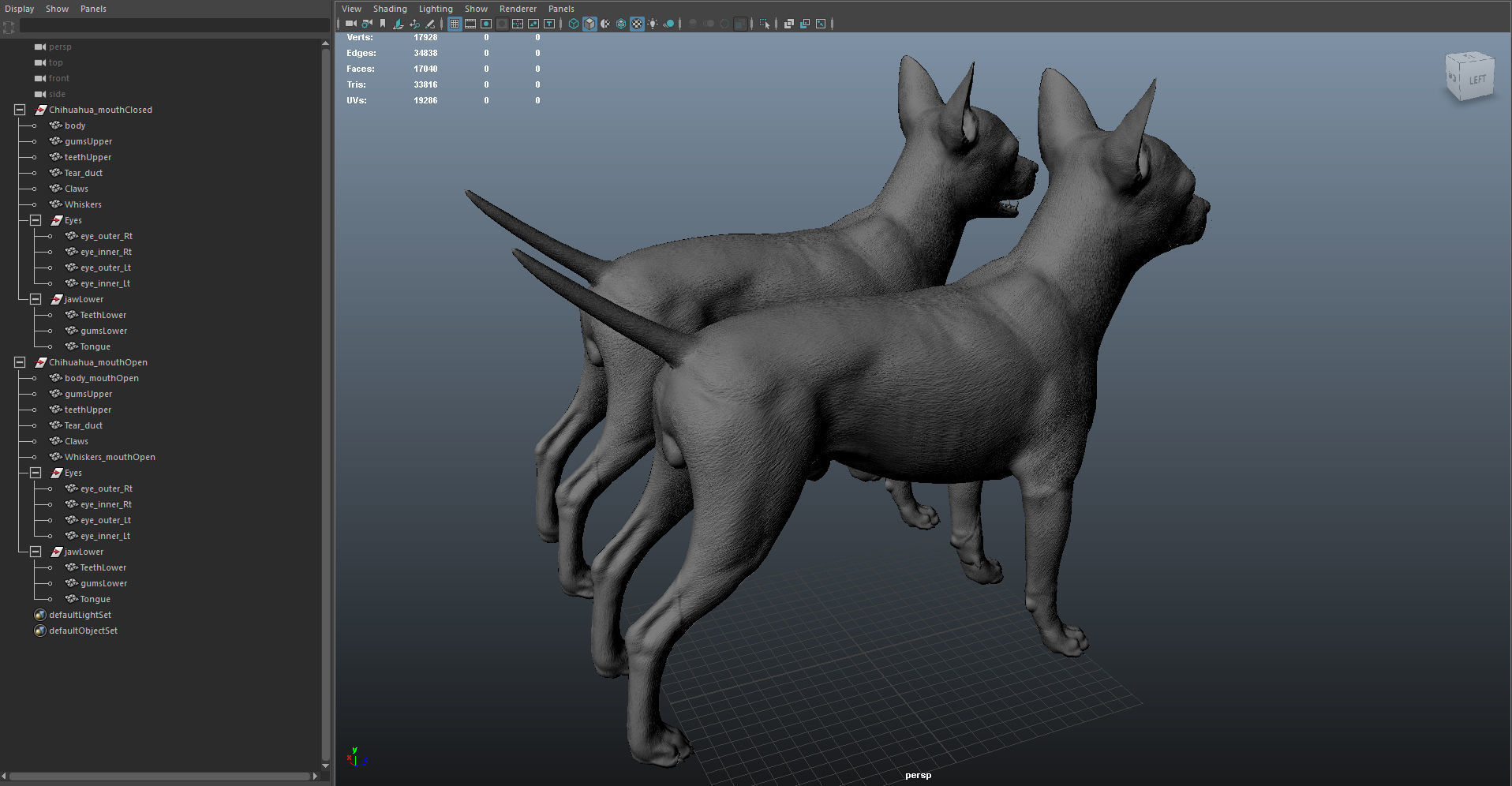 Chihuahua Real-Time Low-poly 3D model_49