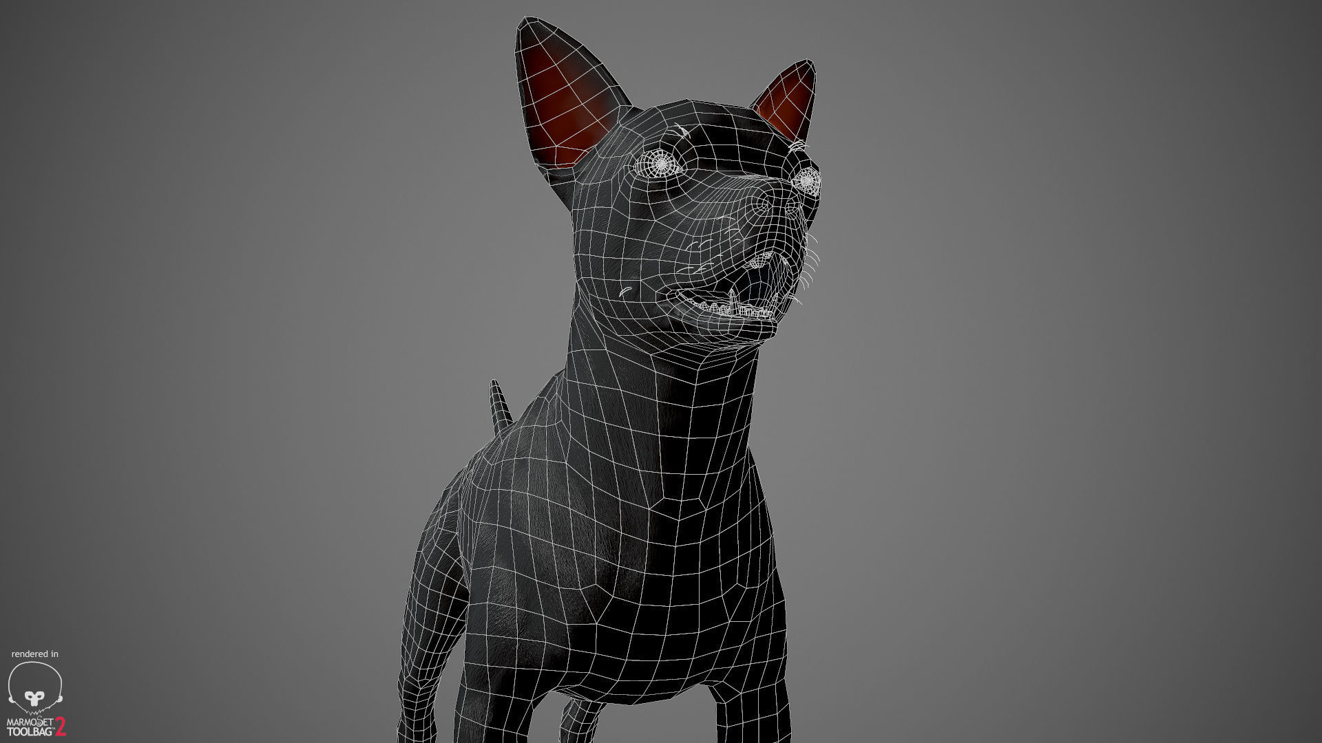 Chihuahua Real-Time Low-poly 3D model_38