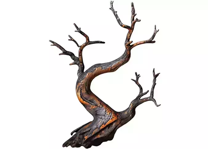 Decorative Rustic Old Twisted Weathered Dry Tree Branches 3D model
