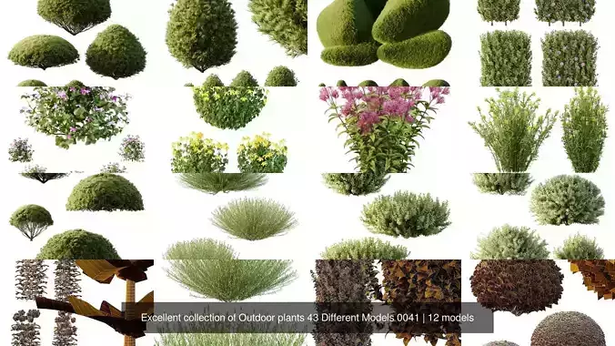 Excellent collection of Outdoor plants 43 Different Models 0041