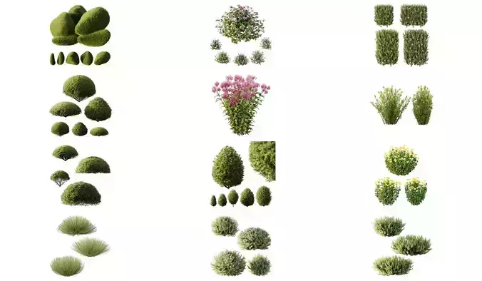 Excellent collection of Outdoor plants 43 Different Models 0041