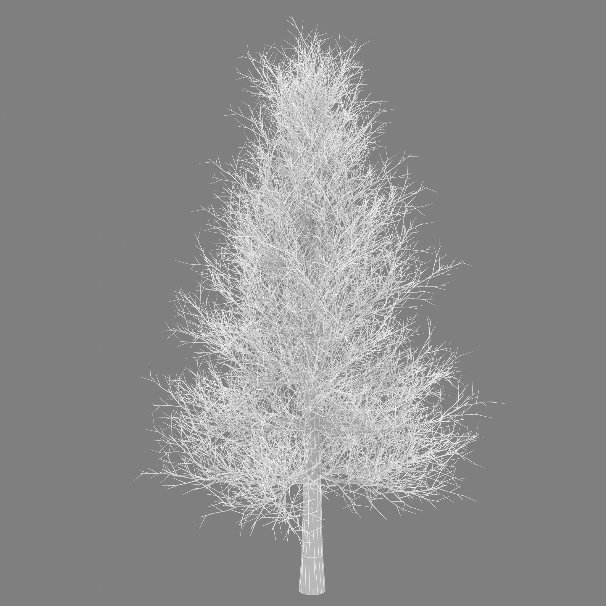 Snow Tree 3D model_5