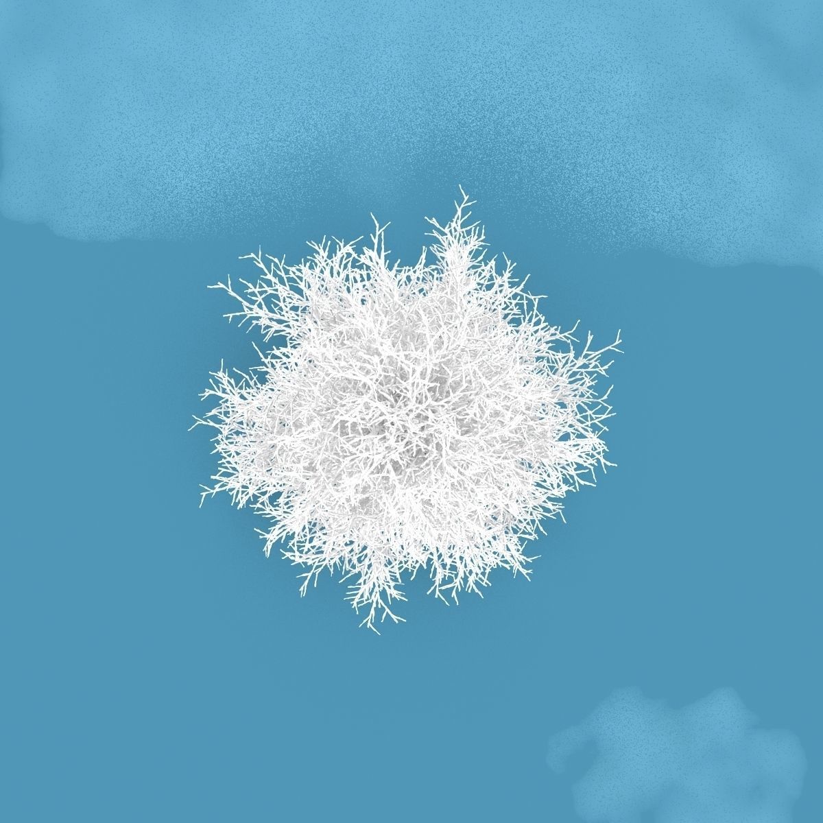 Snow Tree 3D model_4