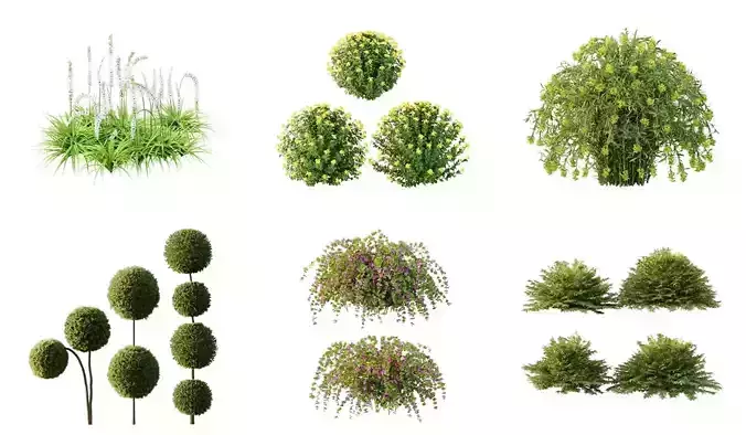 Excellent collection of Outdoor plants 14 Different Models 0042