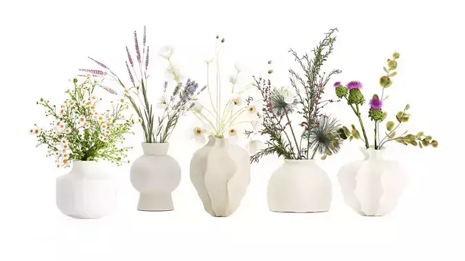 Collection small bouquets poppy lavender flowers vase set