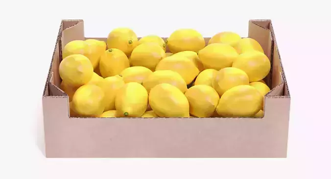 Lemons in Box - Filled Cardboard Produce Crate 3D model