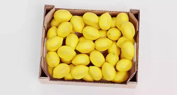 Lemons in Box - Filled Cardboard Produce Crate 3D model 7