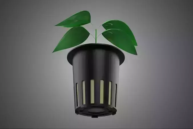 SOIL FREE SOILLESS HYDROPONIC NET POT CUP SEEDLING YOUNG PLANT