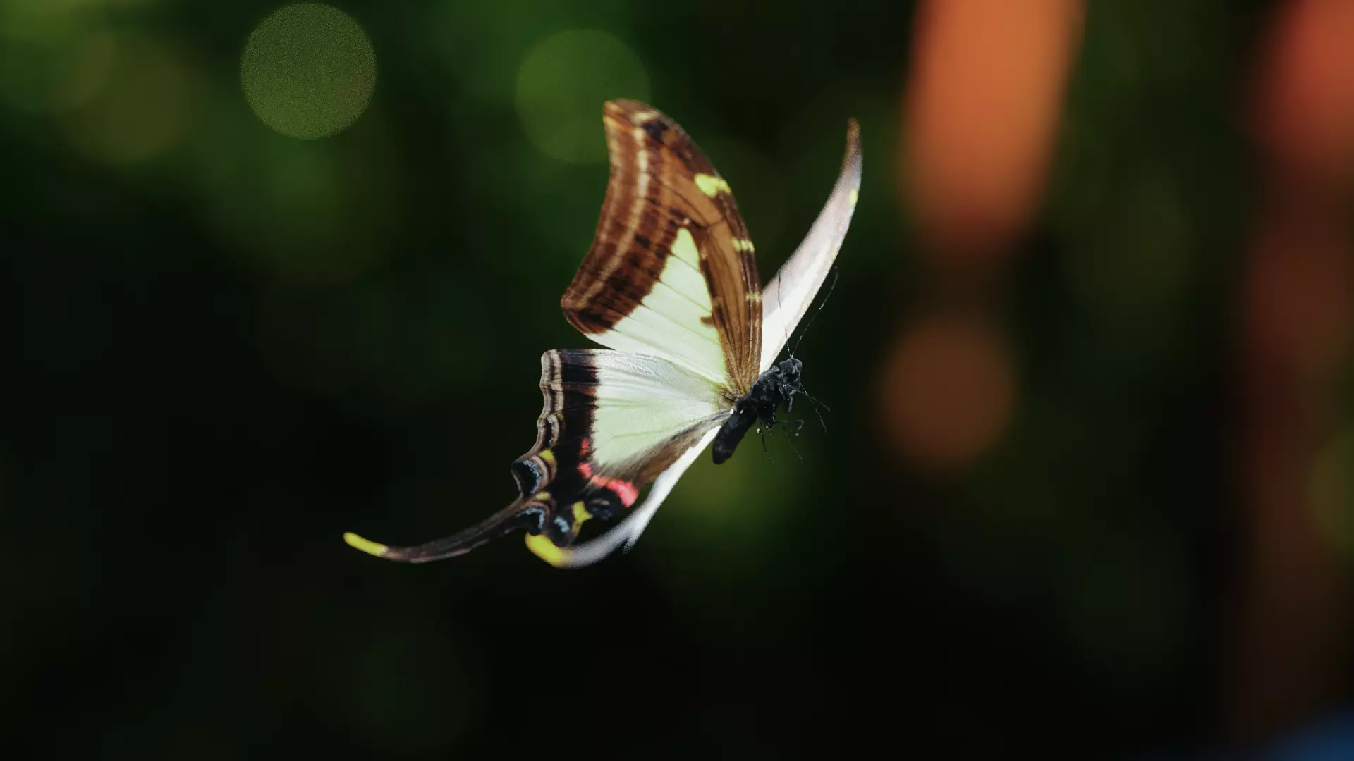Rigged Butterfly with Dynamic Wing Animation C4D Octane FBX 3D model