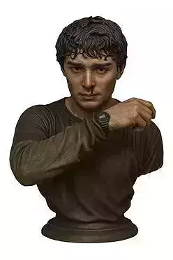 Will Bust - Stranger Things 