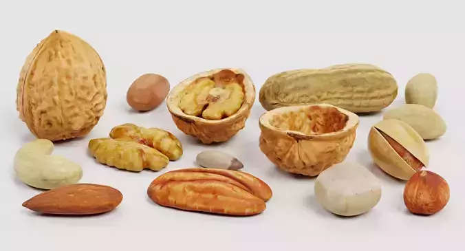 Nuts - Large Collection of 15 Assorted Food Props 3D model 3