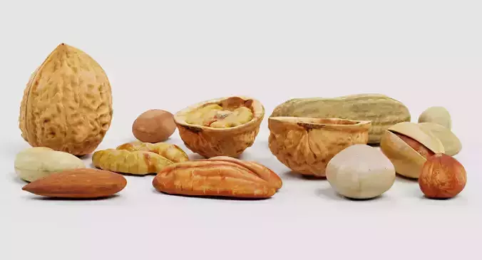 Nuts - Large Collection of 15 Assorted Food Props 3D model 4
