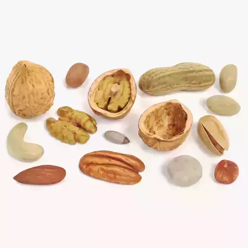 Nuts - Large Collection of 15 Assorted Food Props 3D model