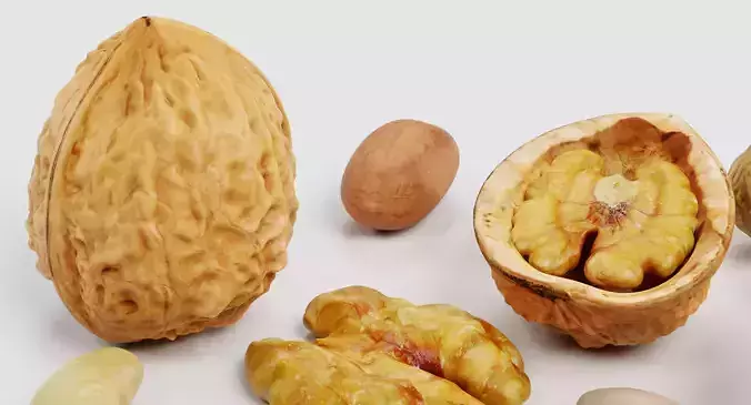 Nuts - Large Collection of 15 Assorted Food Props 3D model 7