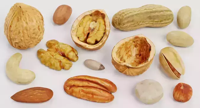 Nuts - Large Collection of 15 Assorted Food Props 3D model 2