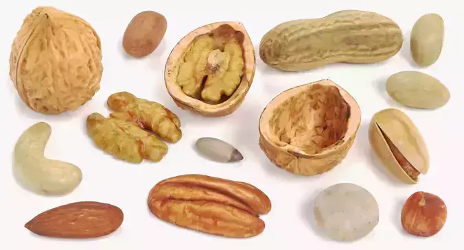 Nuts - Large Collection of 15 Assorted Food Props 3D model 6