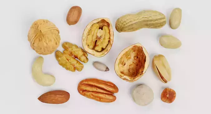 Nuts - Large Collection of 15 Assorted Food Props 3D model 5