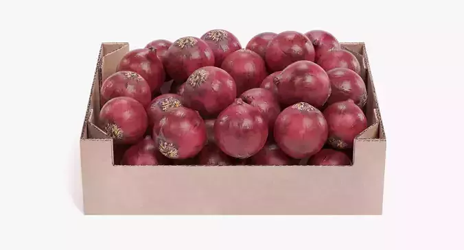 -Onions in Box-