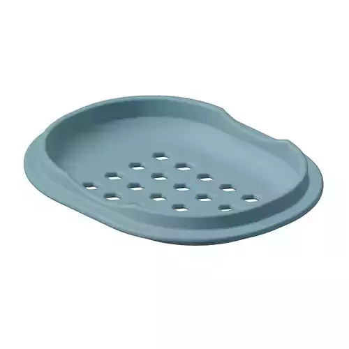 Plastic Exquisite Soap Dish