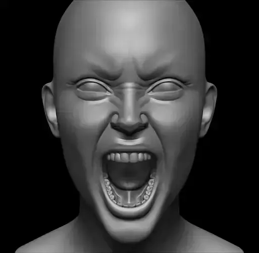 Anger Facial Expression