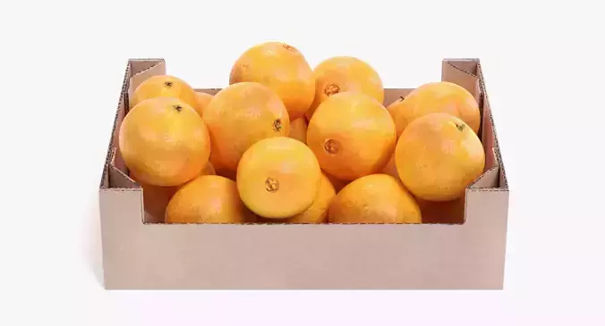 -Oranges in Box-