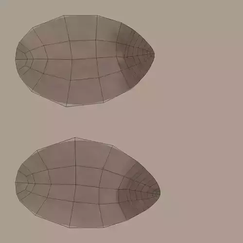 Pine Nut - Raw Seed Kernel 3D model 7