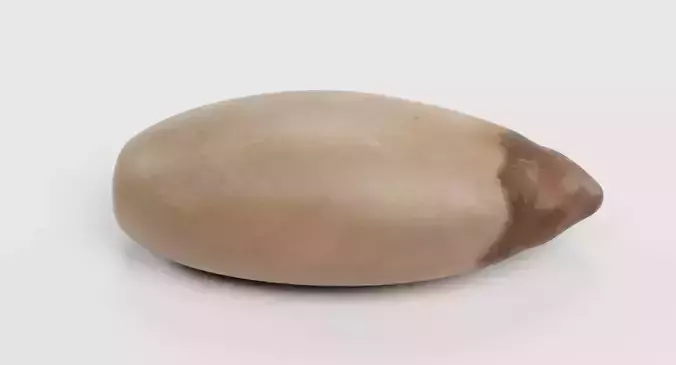 Pine Nut - Raw Seed Kernel 3D model 2