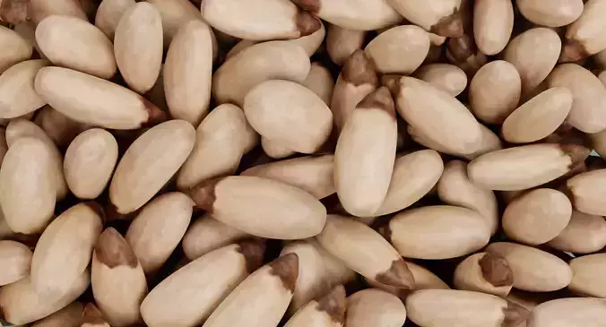 Pine Nuts in Bowl - Raw Seed Kernel Food Display  3D model 7