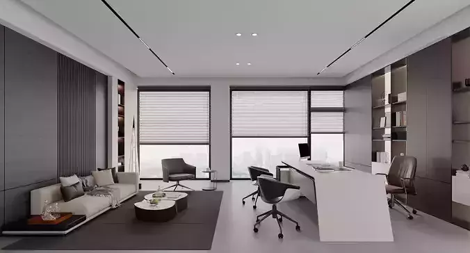 Modern Executive Office Interior